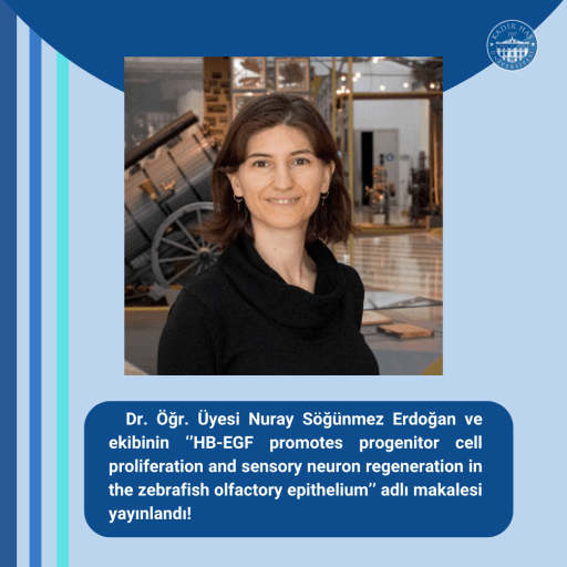 MBG Öğretim Üyelerimizden Dr. Nuray Söğünmez Erdoğan’ın Bir Makalesi Daha Yayınlandı! 