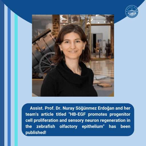 Another Published Paper by One of Our MBG Faculty Members, Dr. Nuray Söğünmez Erdoğan!